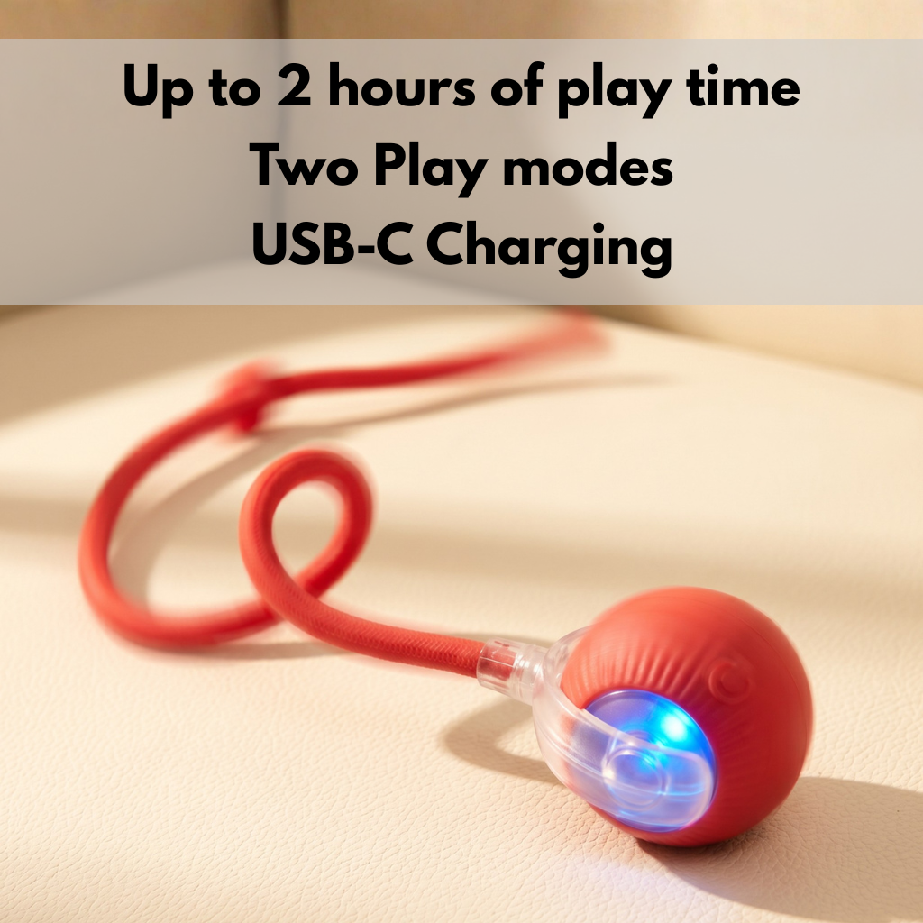 SpinBall Interactive Cat Toy